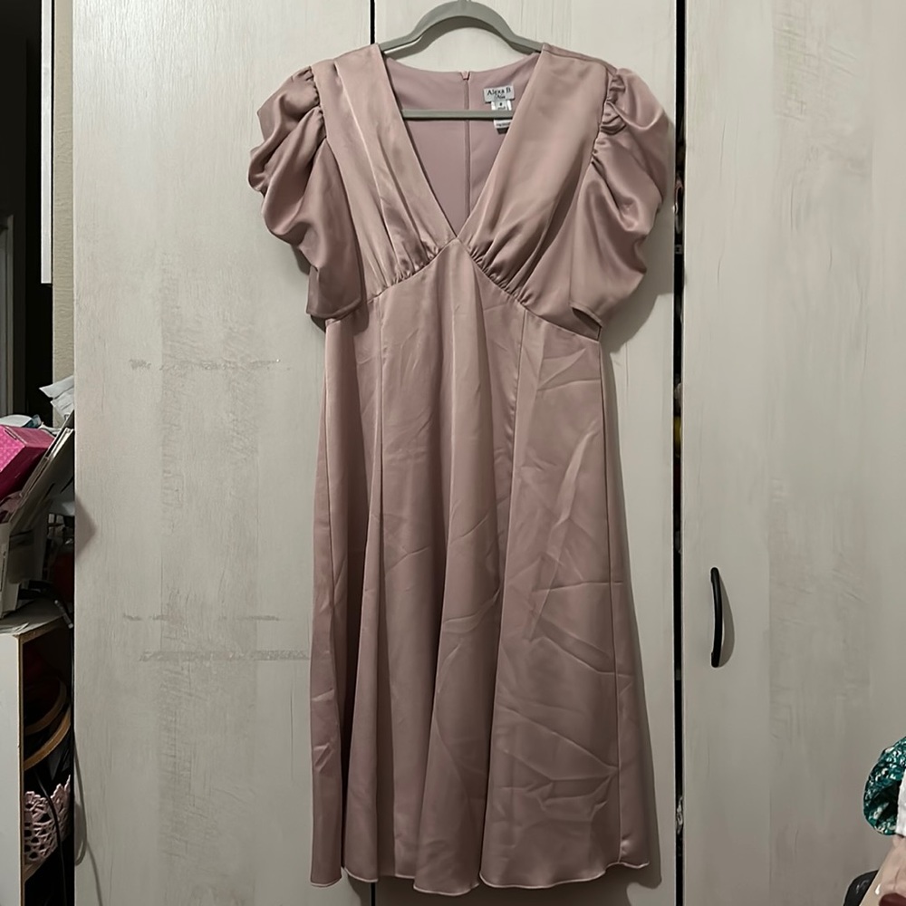 {NWOT} ALEXA B dress